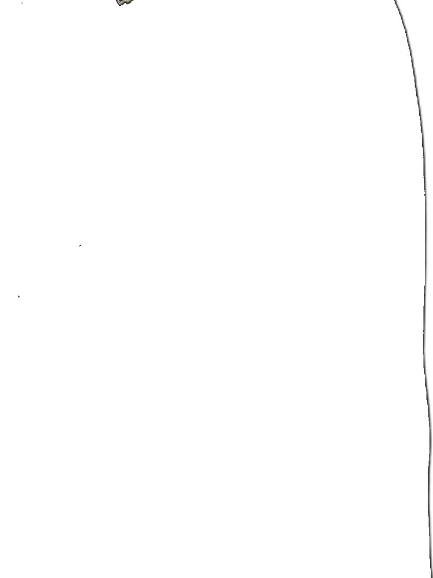 Tagliatore Bruce Lined Coat