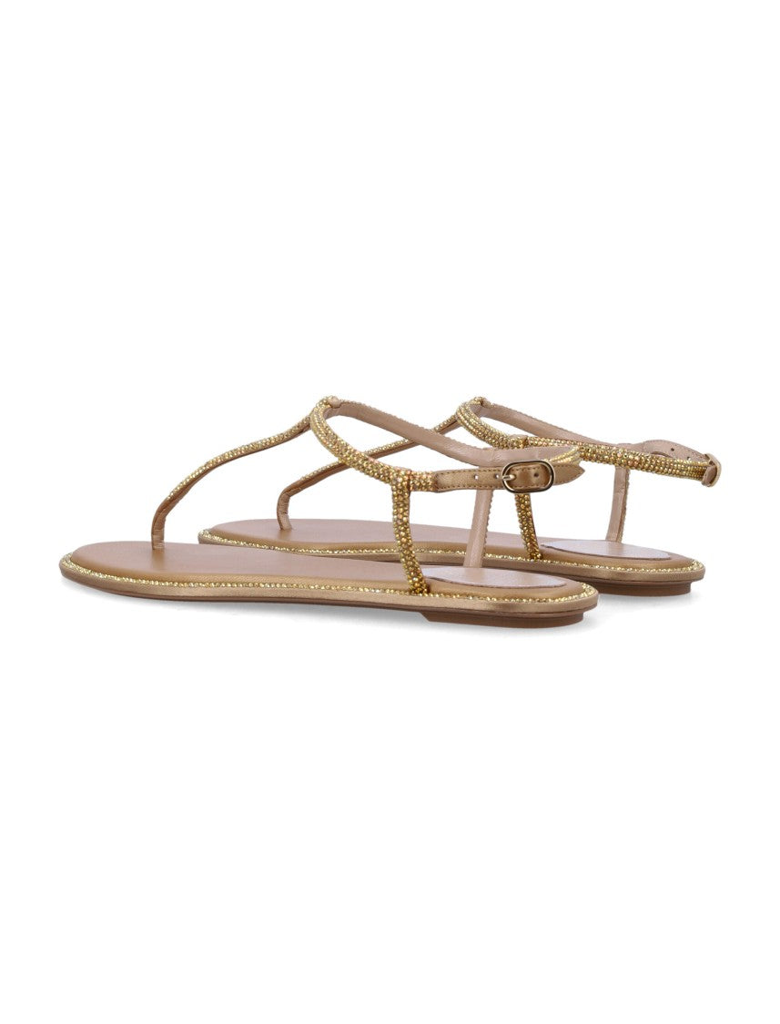 René Caovilla Diana Flat Tong Sandal