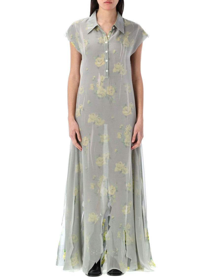 Acne Studios Dranee Vintage Rose Print Long Dress