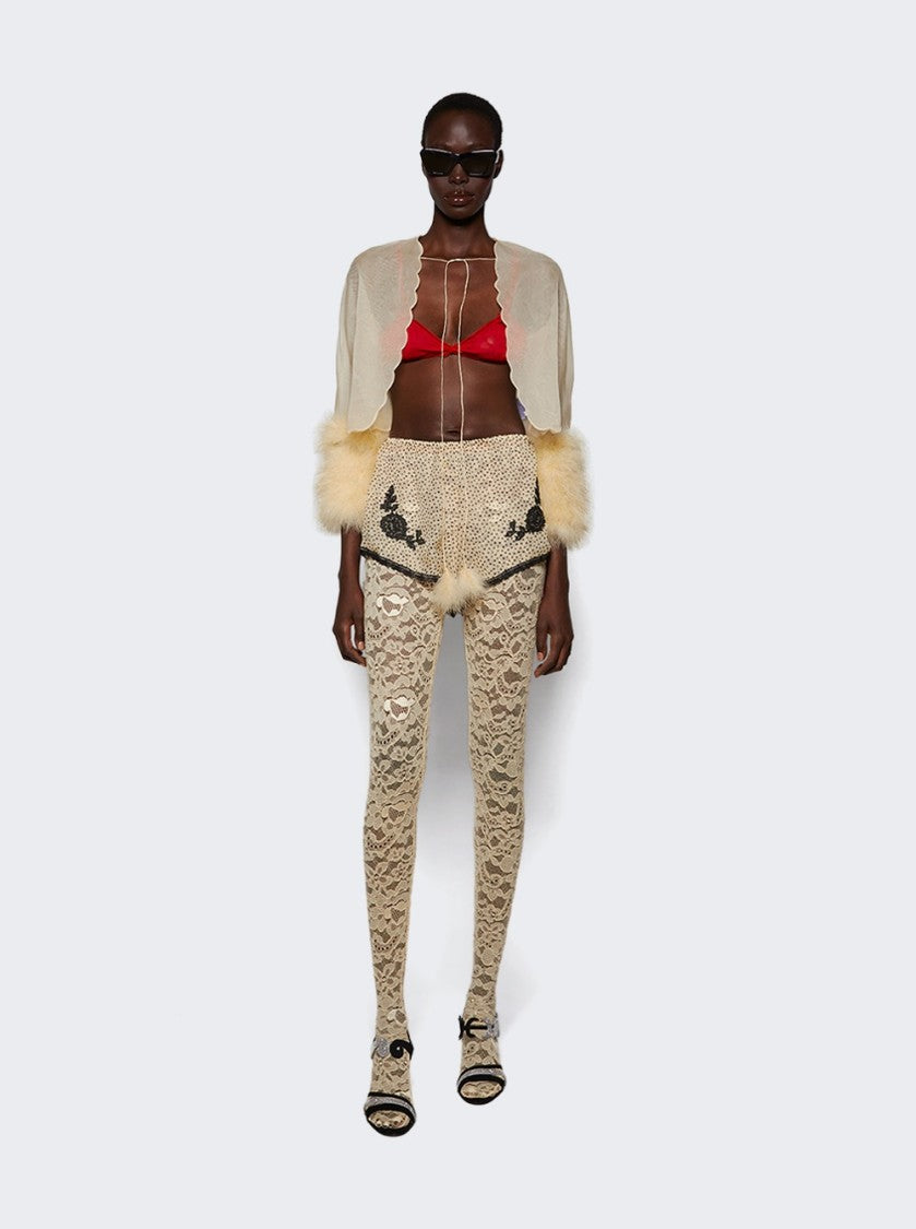 Valentino Lace Tigth Betulla