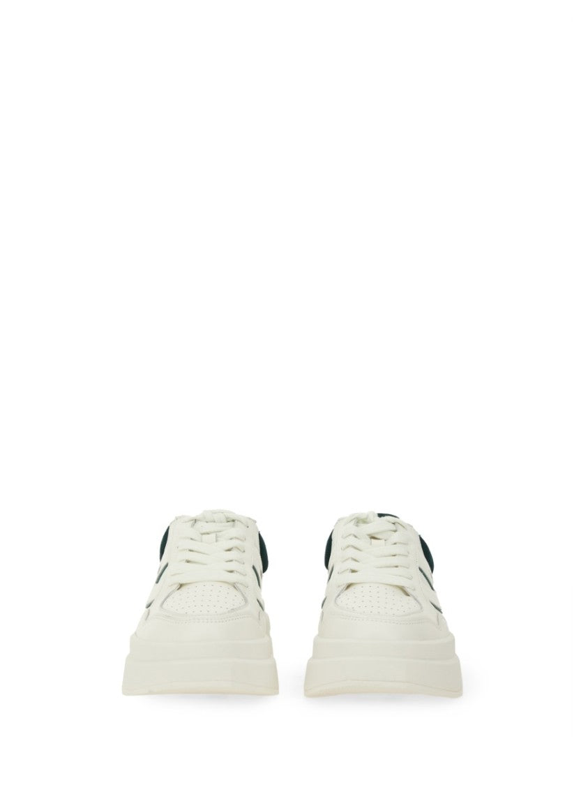 Ash "Iconic" Sneakers