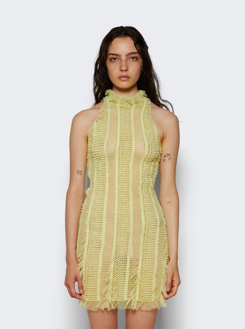 Roberta Einer Angel Sheer Mini Dress