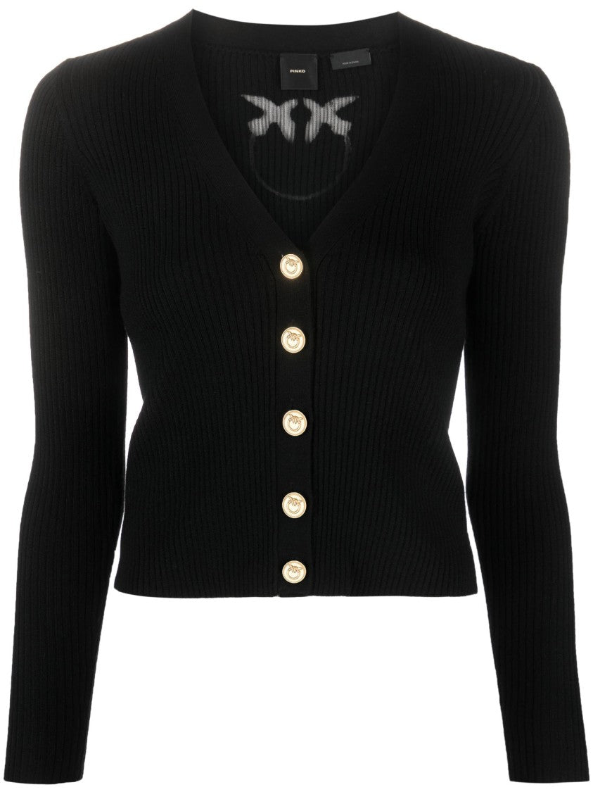 Pinko Tilacino Cardigan