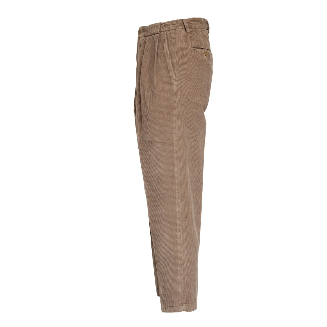 Briglia 1949 Wide-Leg Velvet Pants With Double Pleats