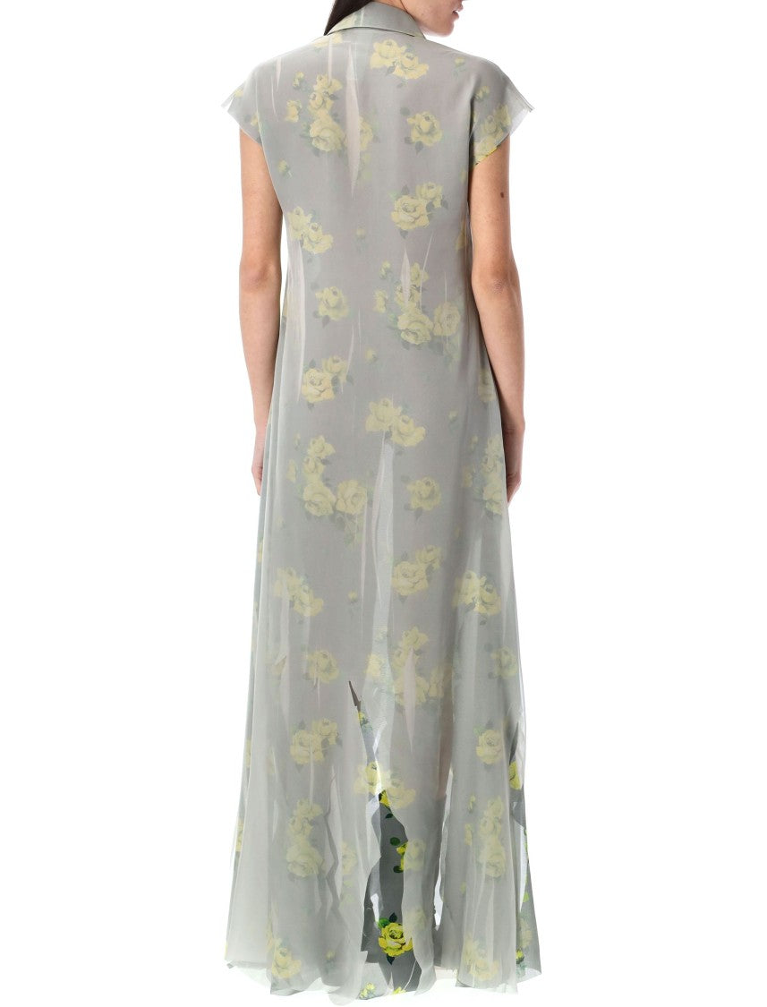 Acne Studios Dranee Vintage Rose Print Long Dress