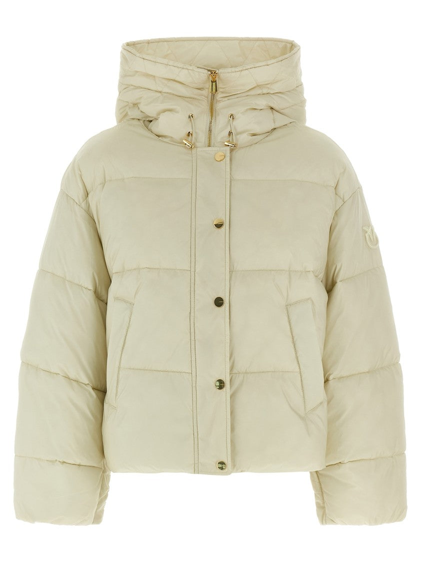 Pinko Impasto' Down Jacket