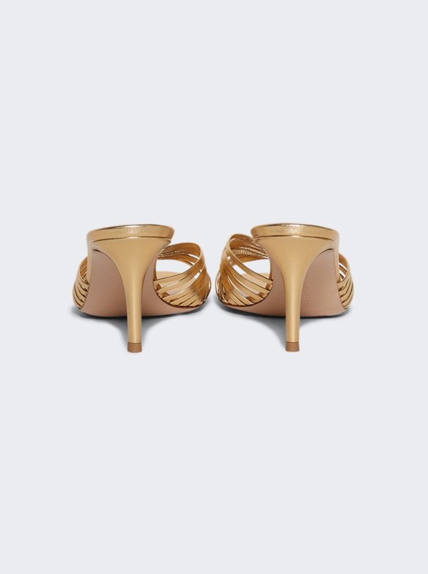 Gianvito Rossi Vyna Sandal Heel Mekong