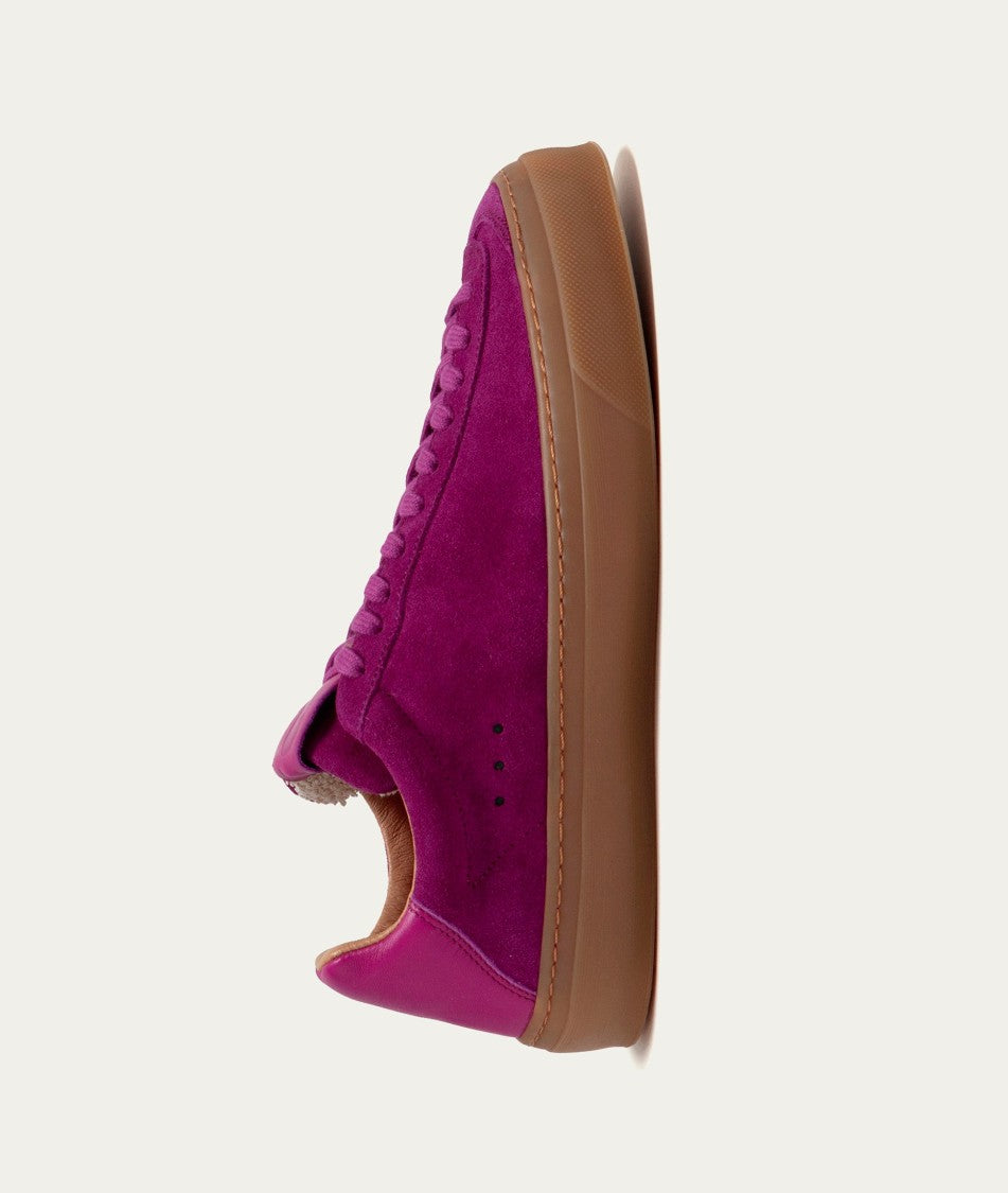 Aqua Alta Venice Regata Pink