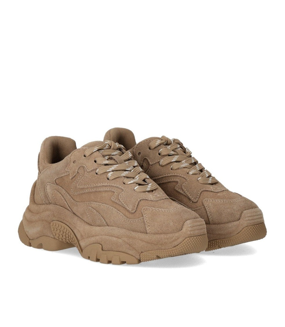 Ash Addict Beige Sneaker