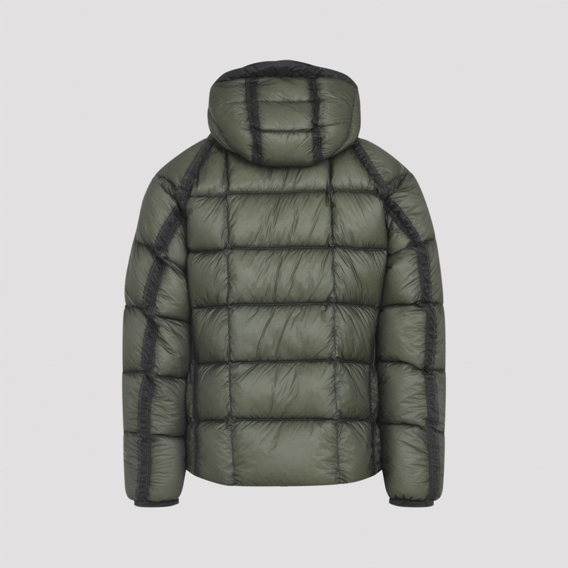 C.P. Company Seagrass Green Medium Jacket In Dd-Shell