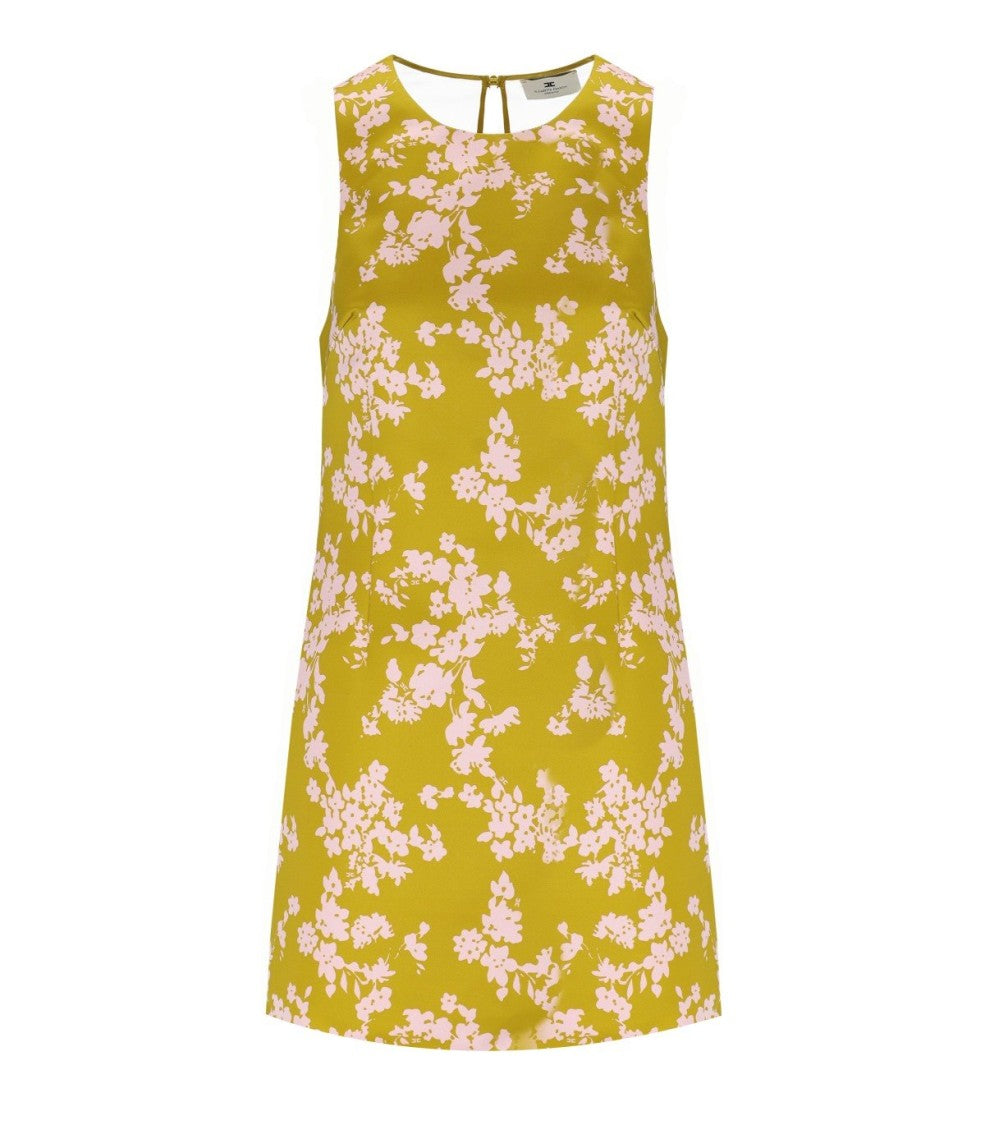 Elisabetta Franchi Curry Quarzo Sleeveless Dress