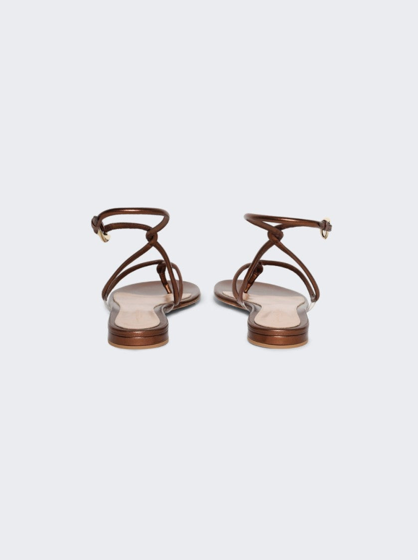 Gianvito Rossi Black Mamba Flat Sandals Chocolate