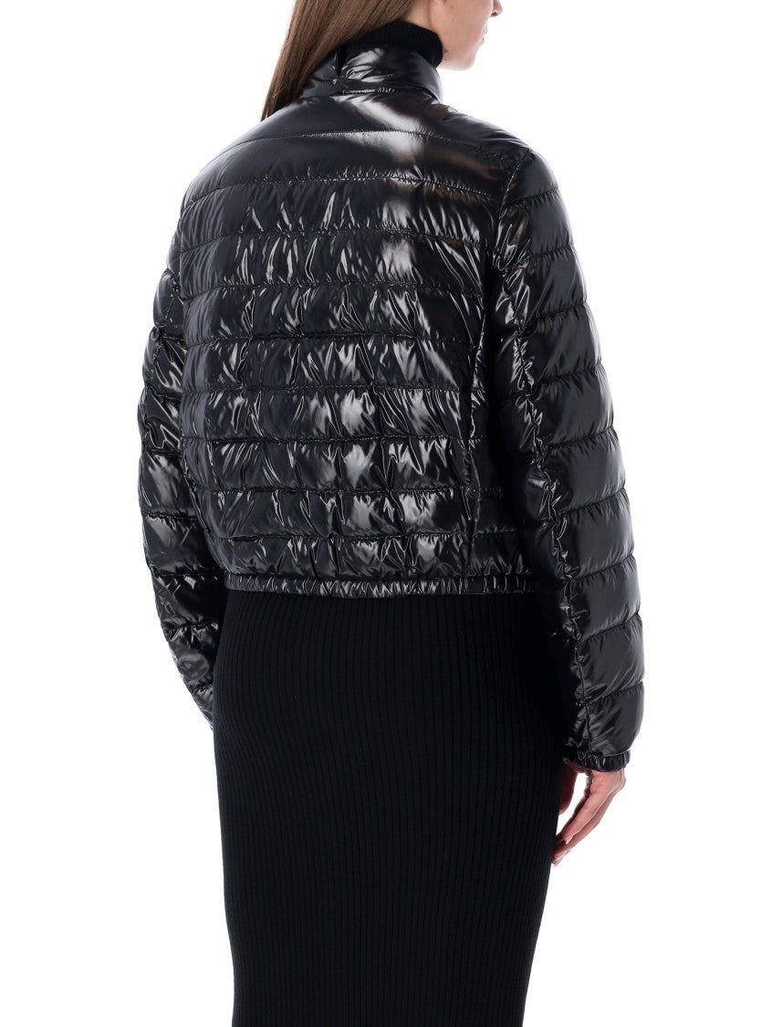 Moncler X Edward Enninful Knut Jacket
