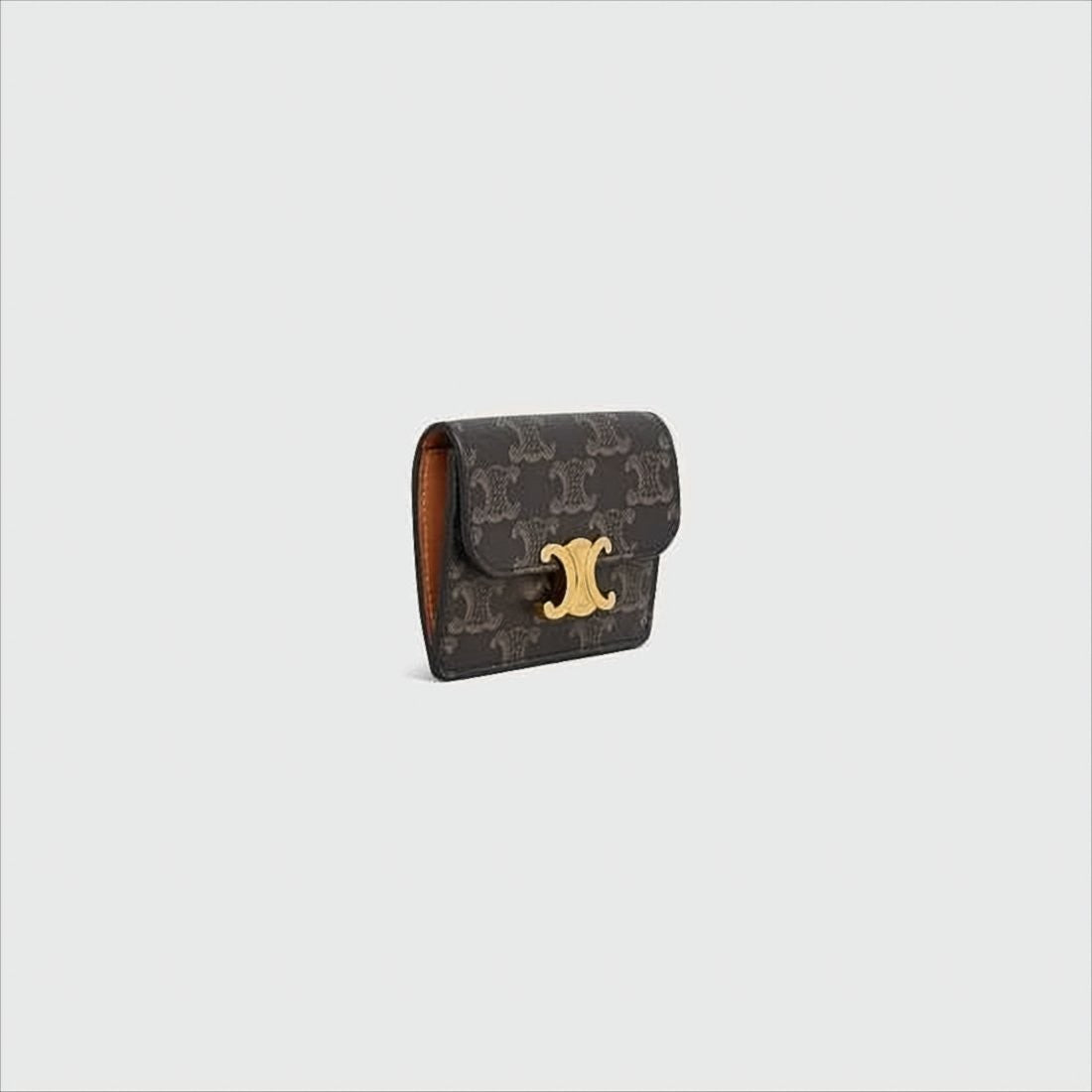 Celine Compact Leather Accessory With Canvas Base