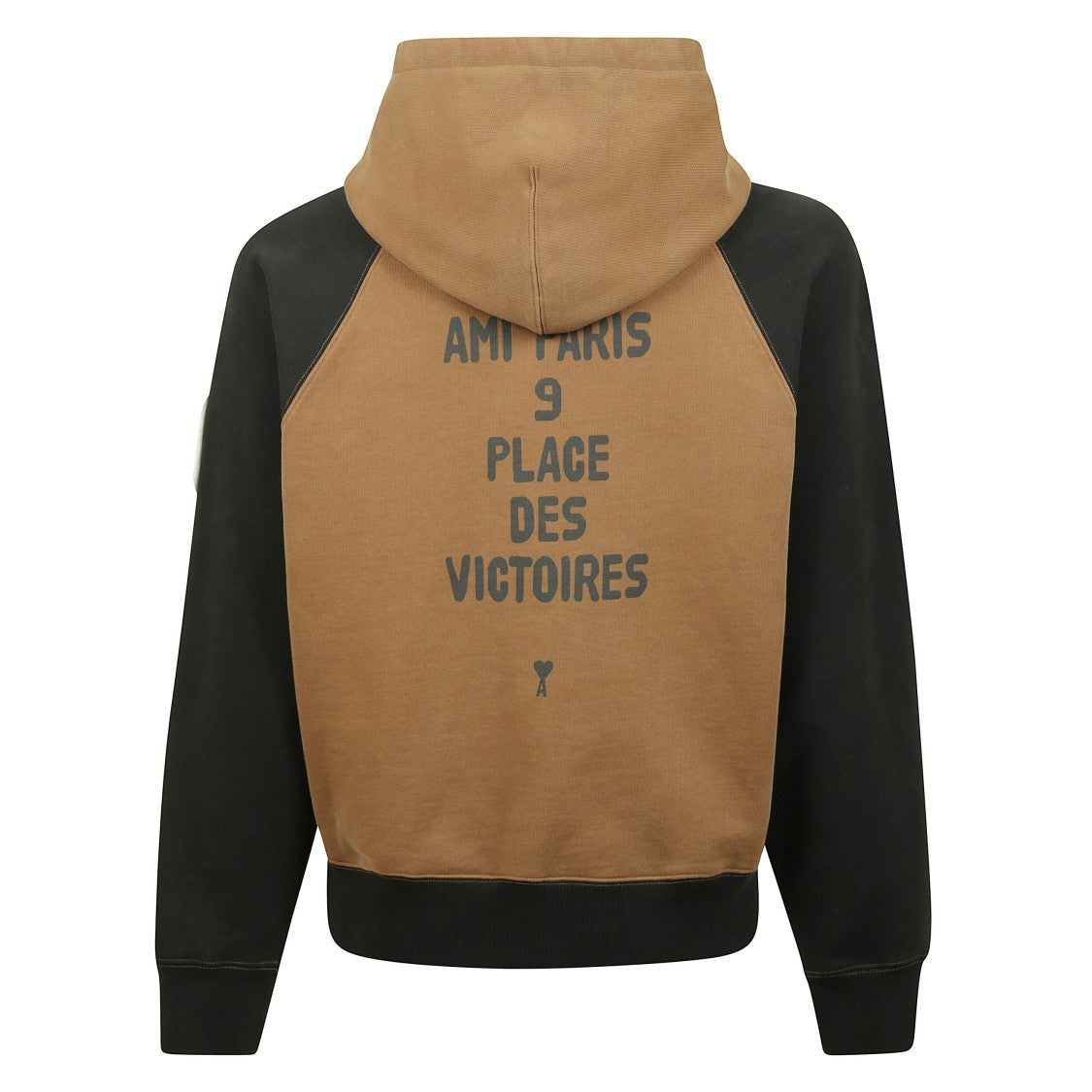 Ami Bicolour Hooded Sweatshirt