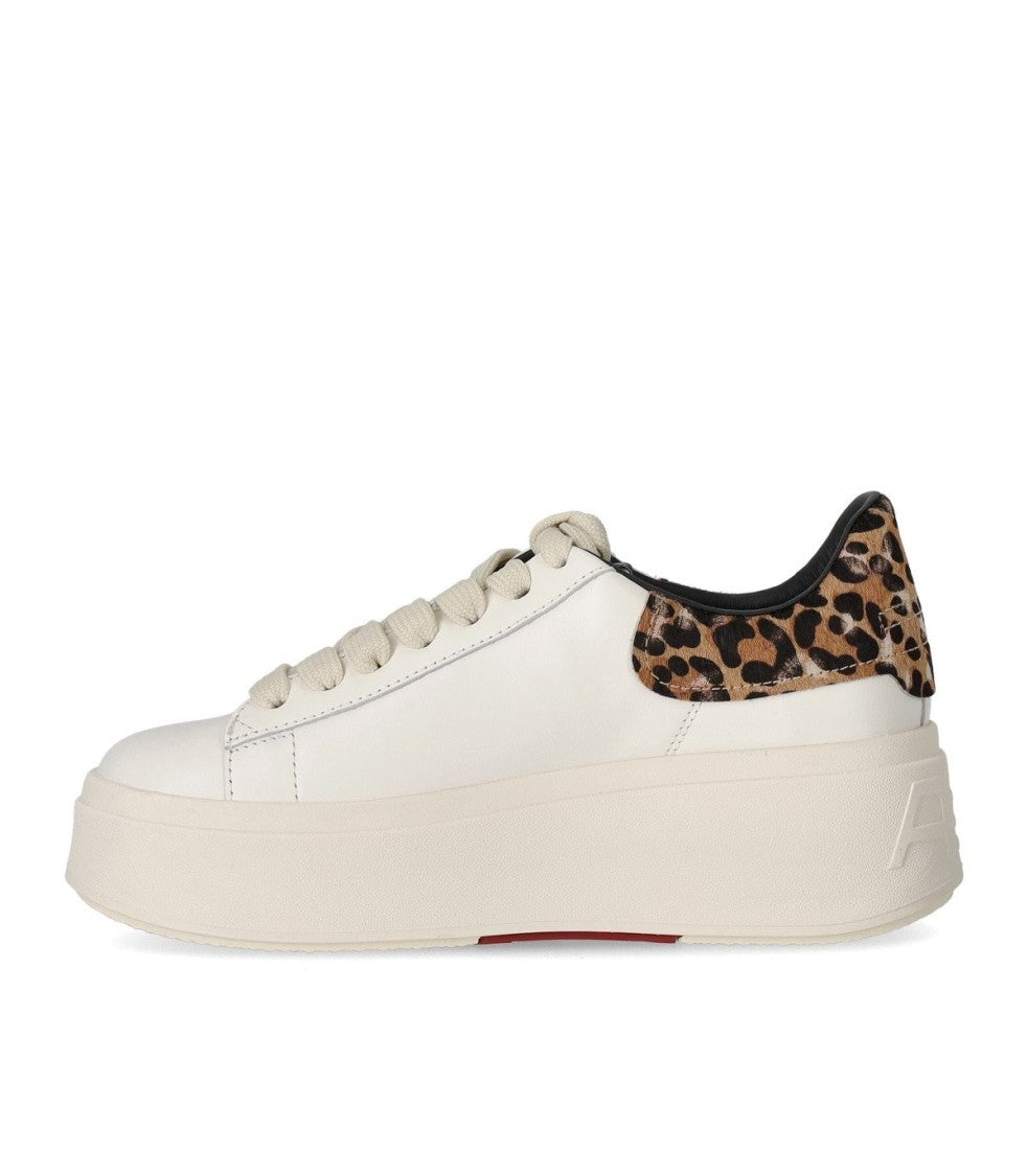 Ash Moby Animalier Sneaker