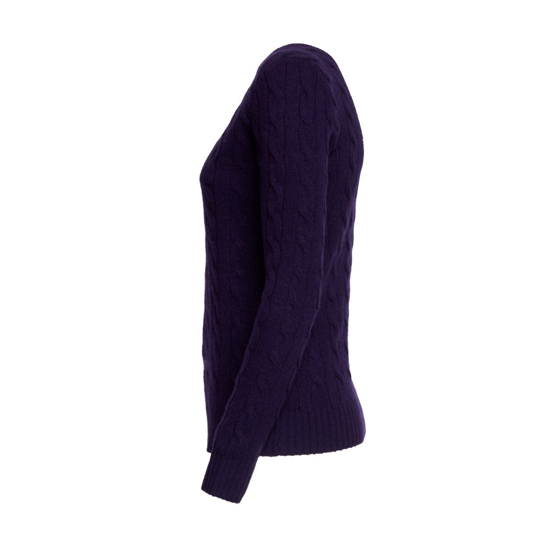 Polo Ralph Lauren Crewneck Sweater In Wool And Cashmere