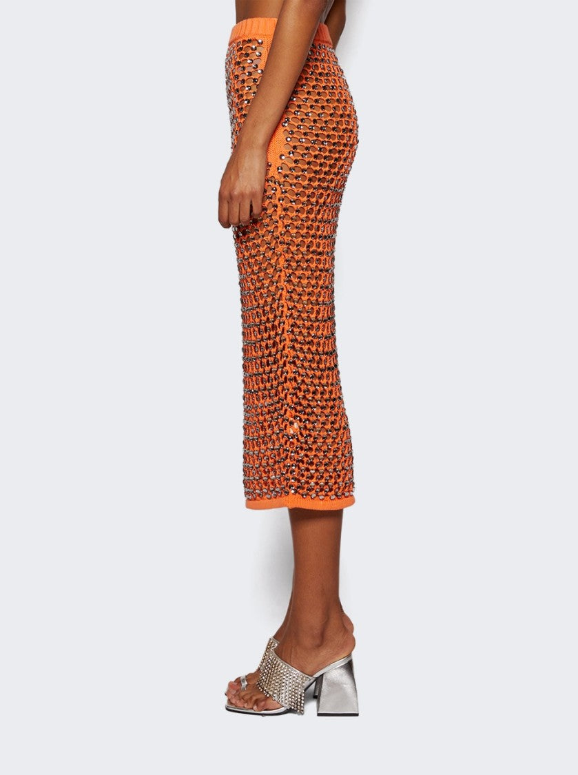 Diotima Spice Skirt In Crystal Mesh