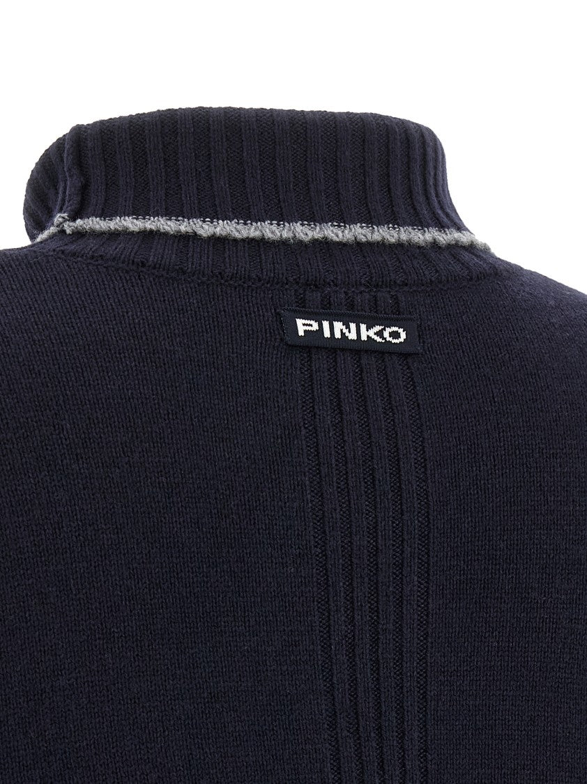 Pinko 'Falkland' Turtleneck Sweater