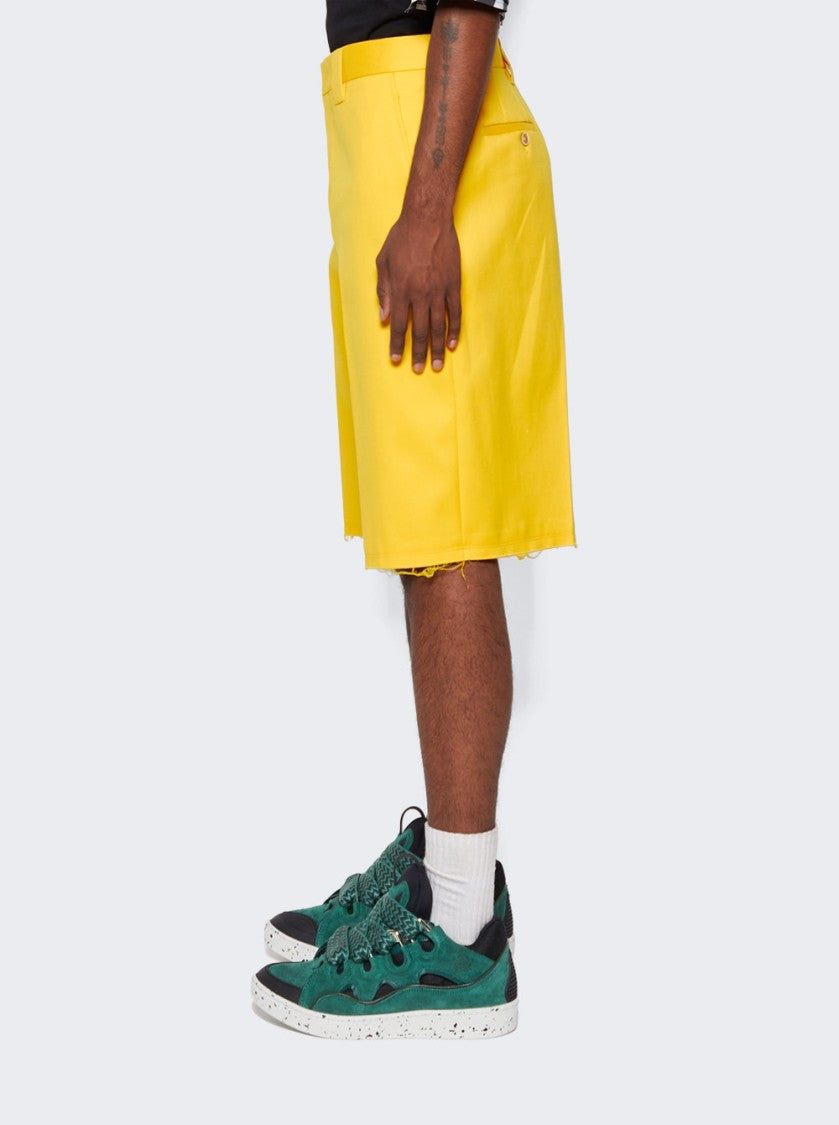 Lanvin Tailored Shorts With Pocket
