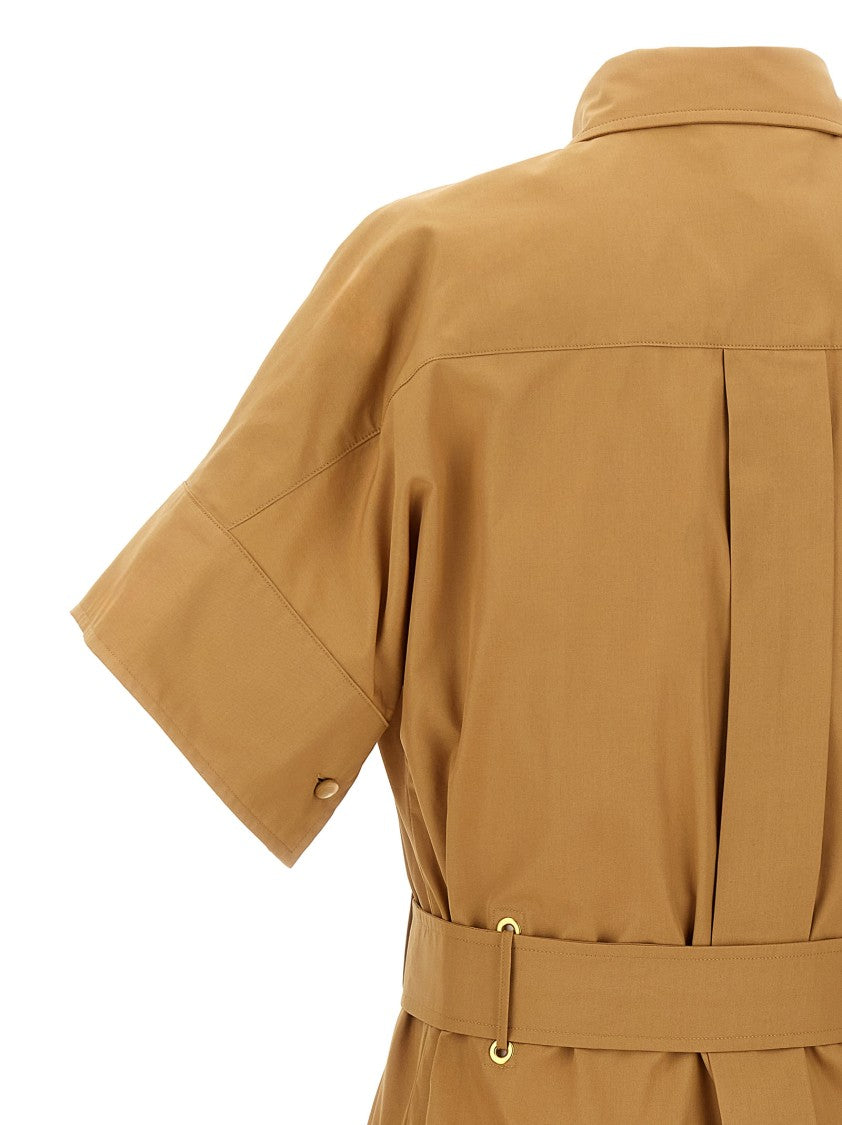 Max Mara 'Agoario' Dress