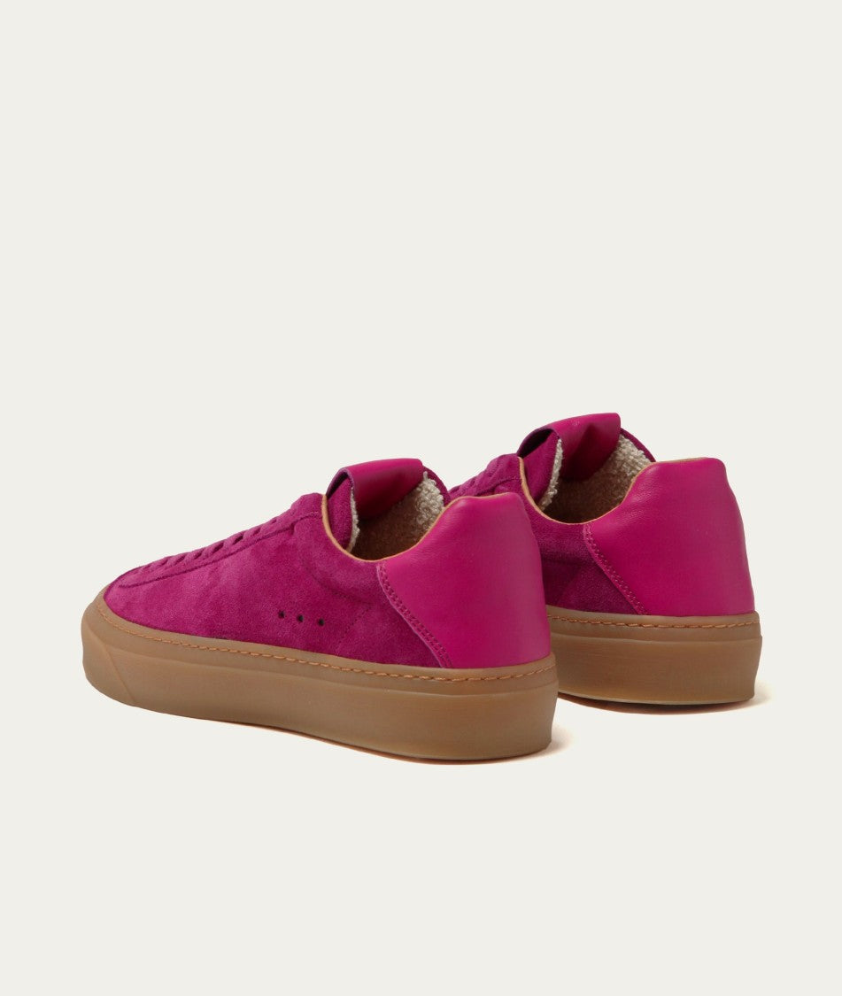Aqua Alta Venice Regata Pink