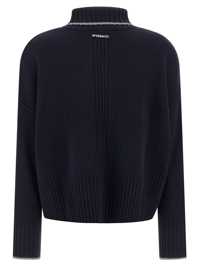 Pinko 'Falkland' Turtleneck Sweater